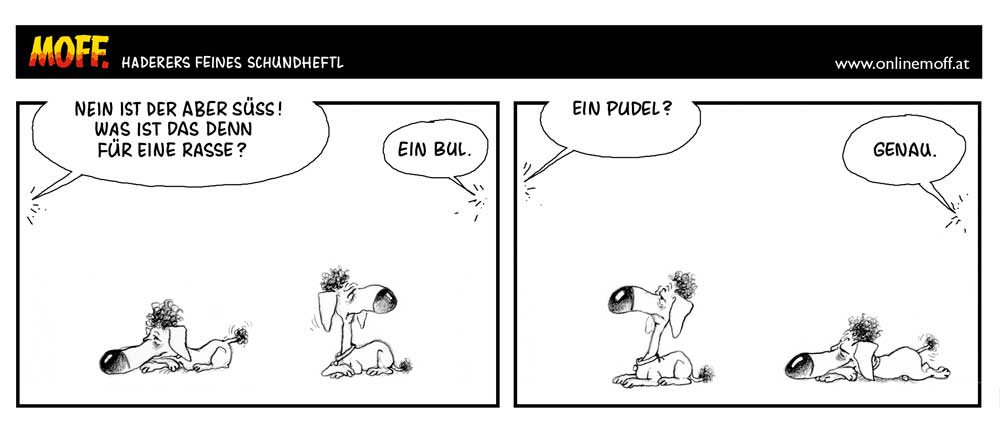 Bul oder Pudel?